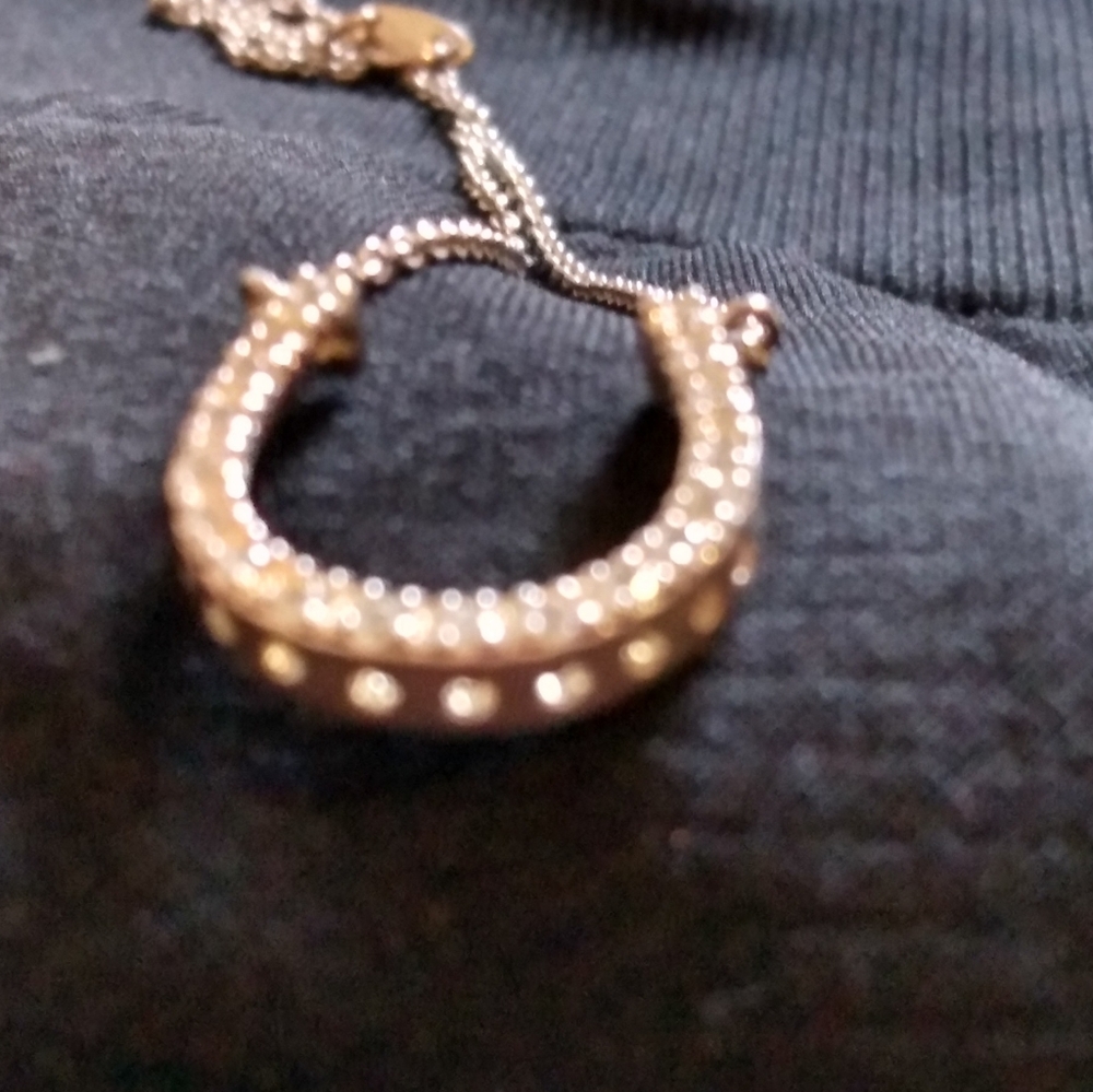 Horseshoe CZ Necklace - Picture 5 of 5